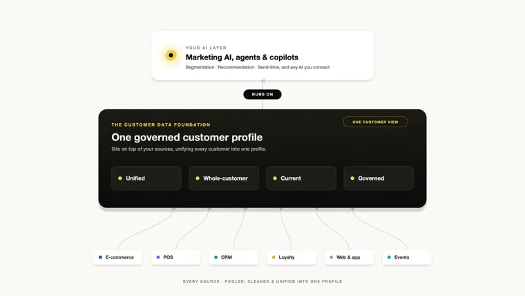 Your AI Marketing Is Only as Smart as Your Customer Data
