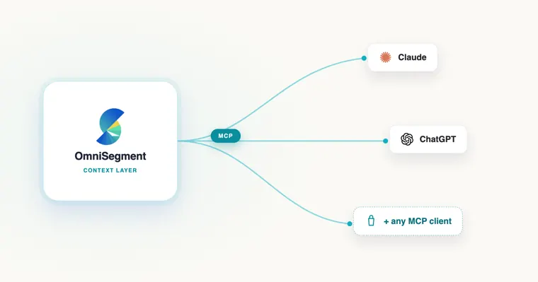 Introducing the OmniSegment MCP Server